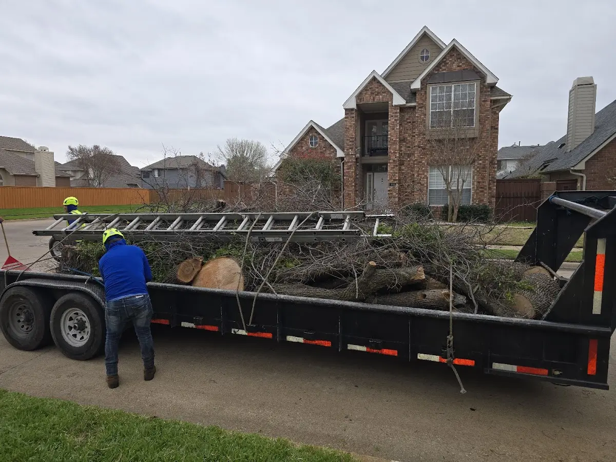 Expert Lot Clearing with proper safety equipment in Pigeon